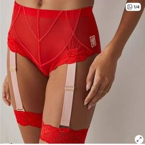 NWT $98 HAH Hole in 1 Panty Lace CutOut Removable Garter Valentines Red Pink
XS